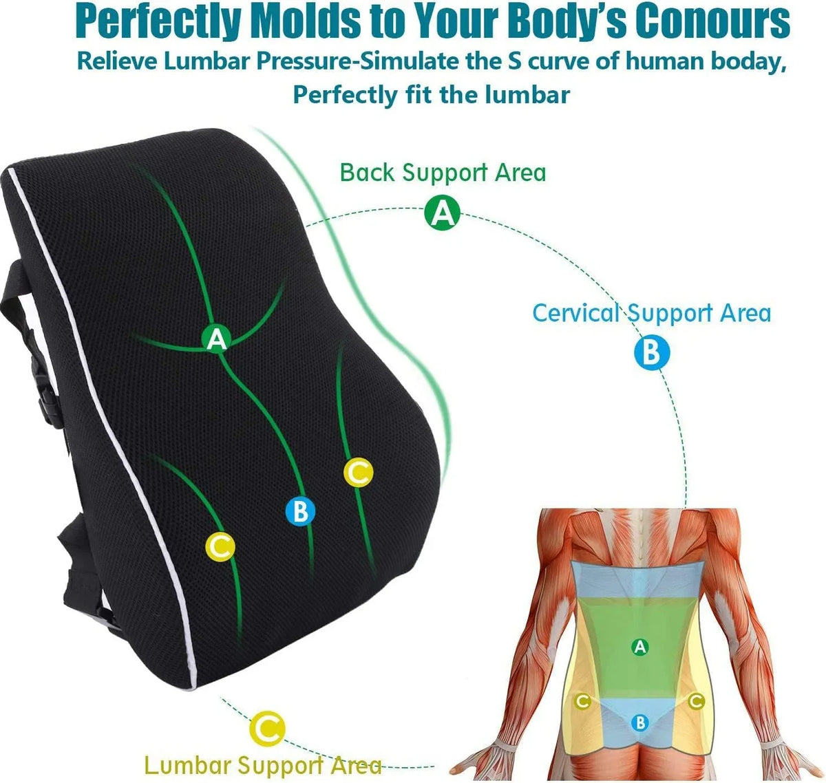 Lumbar Support