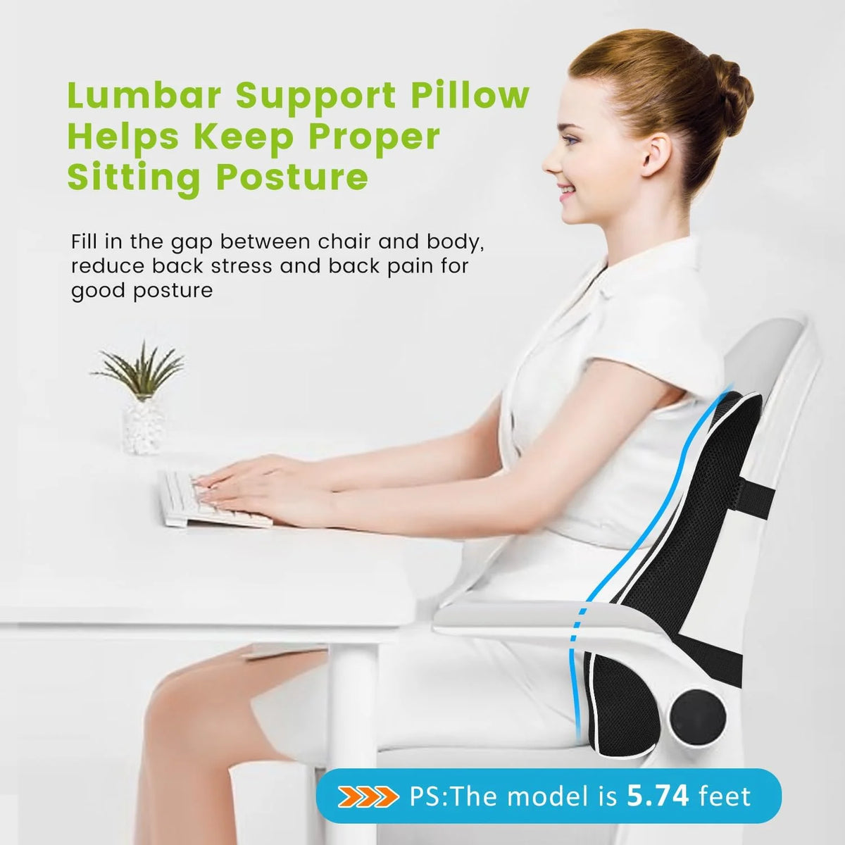 Memory Foam Lumbar Pillow