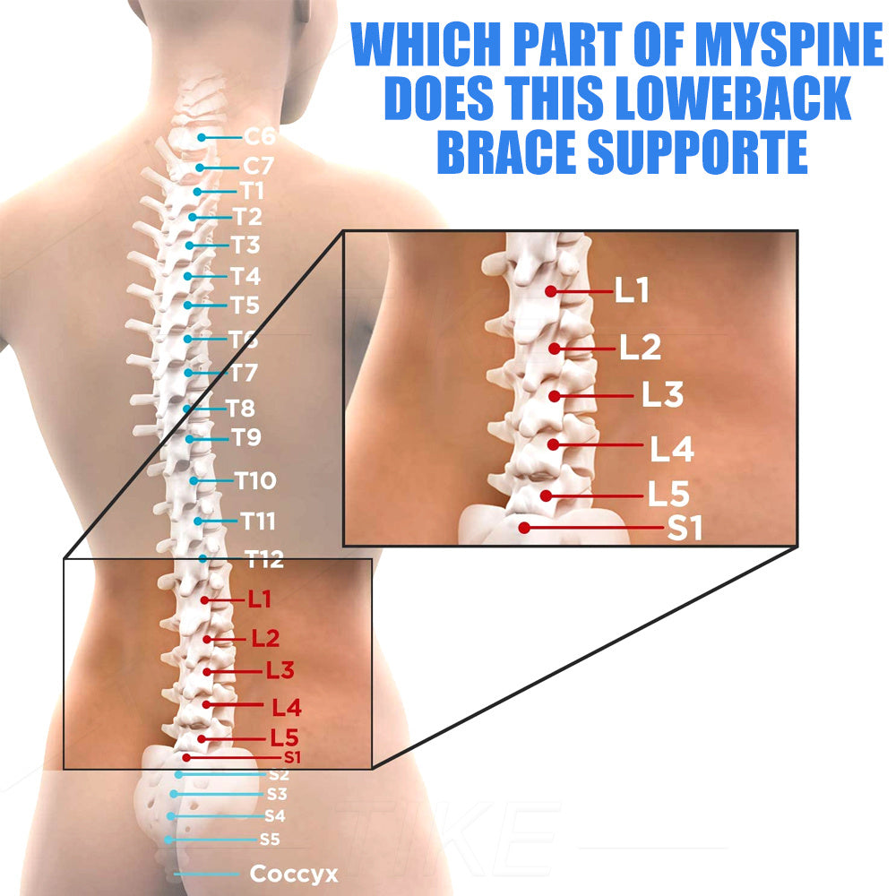 PostureFix Precision 11™ – Premium Back Support Belt for Posture & Spine Alignment